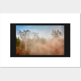 Mountain forest in fog Posters and Art